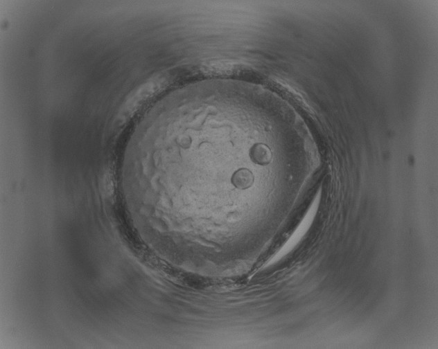 X0000071780687200606301221