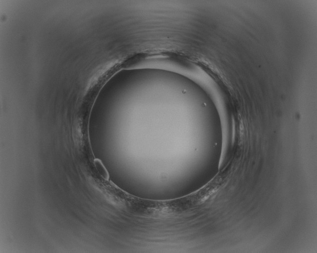 X0000071780688200606301220