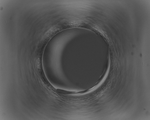 X0000071780689200606301220