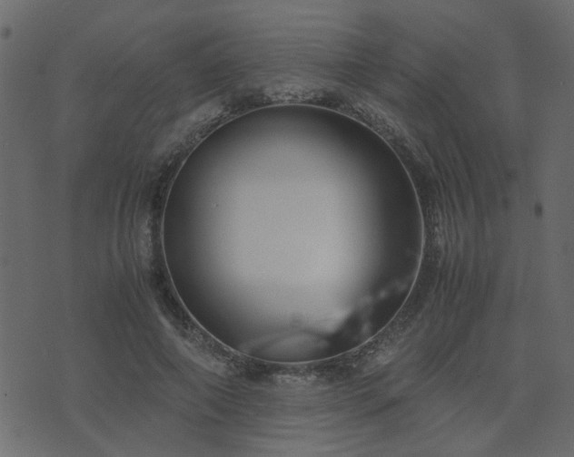 X0000071780690200606301220