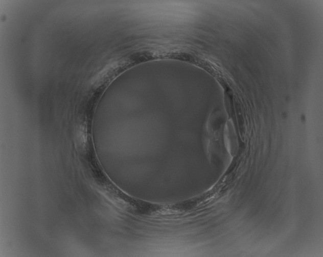 X0000071780691200606301220