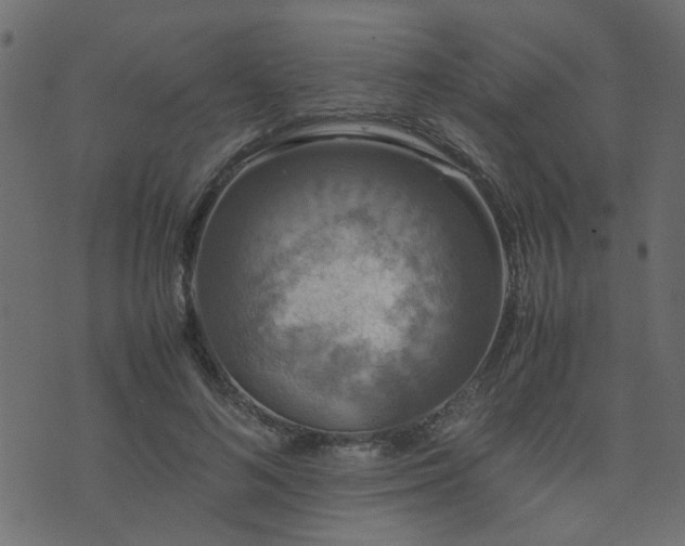 X0000071780692200606301220