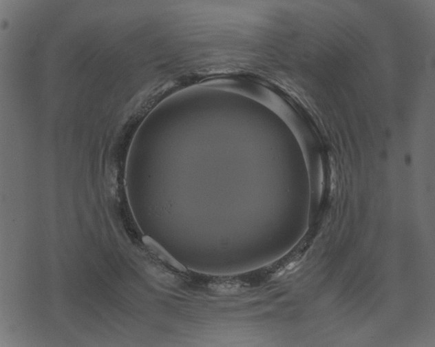 X0000071780693200606301220