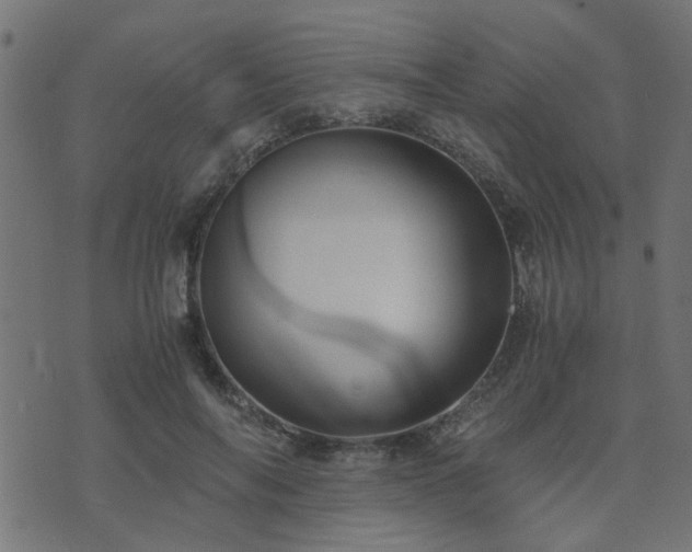 X0000071780694200606301220