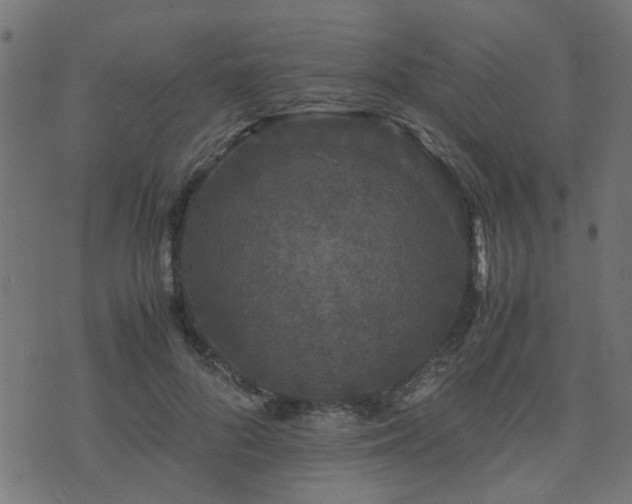 X0000071780696200606301220