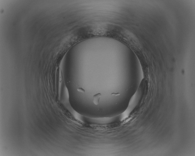 X0000071780697200606301220