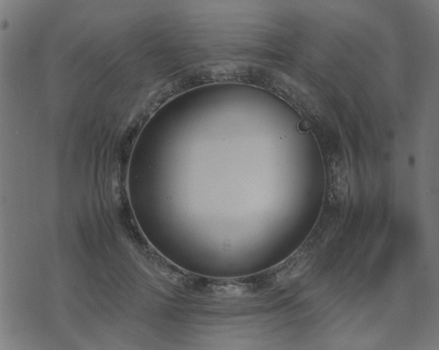 X0000071780698200606301220