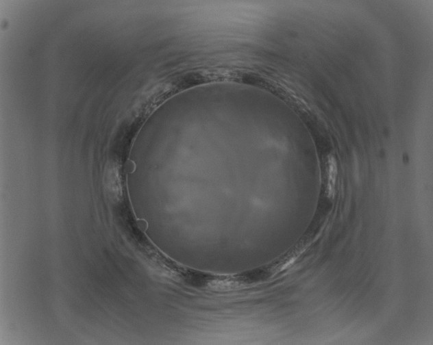 X0000071780699200606301220