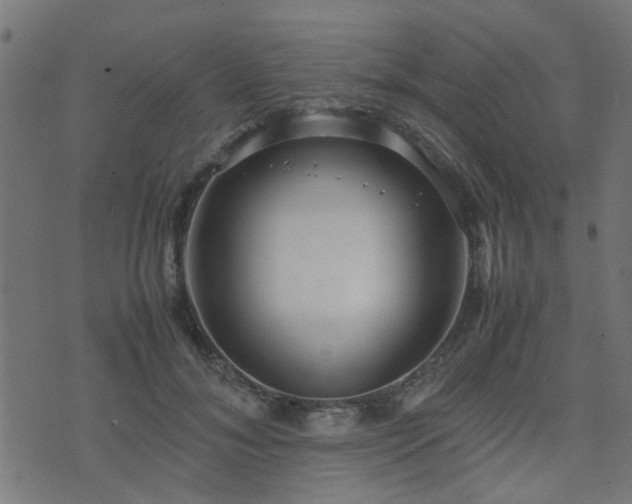 X0000071780700200606301220