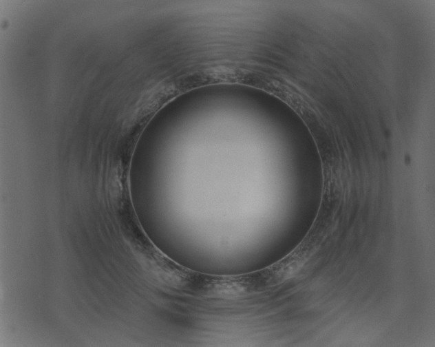 X0000071780702200606301220