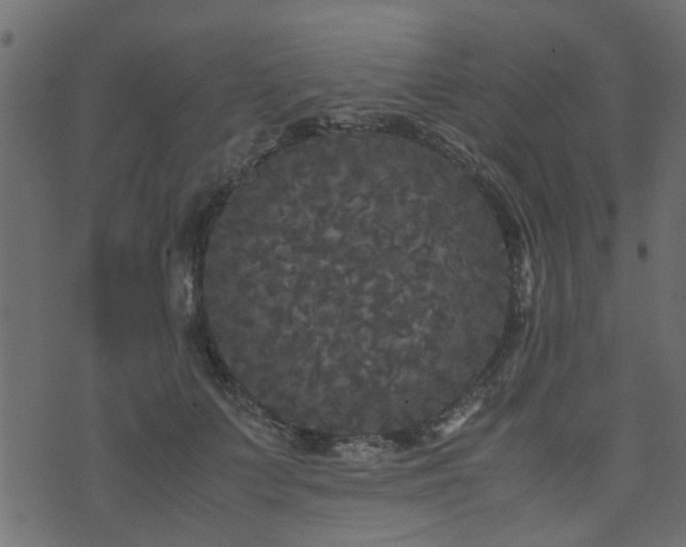 X0000071780703200606301220