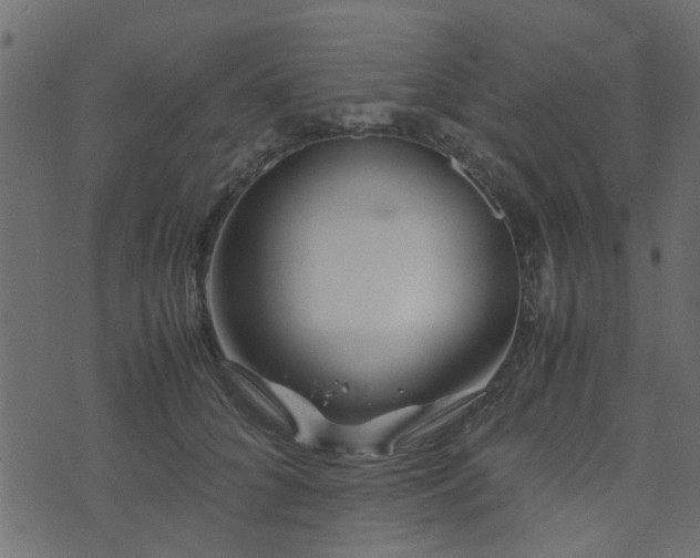 X0000071780704200606301220