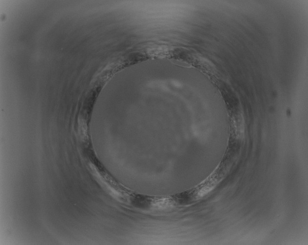 X0000071780705200606301220