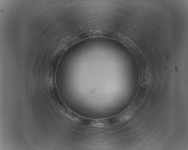 X0000071780706200606301220