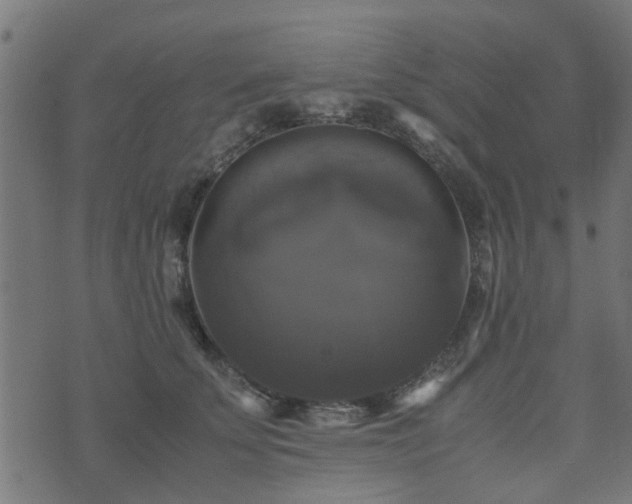 X0000071780707200606301220