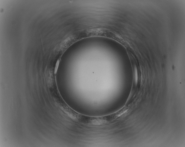 X0000071780708200606301220