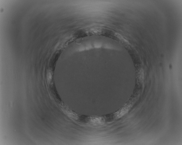 X0000071780709200606301220