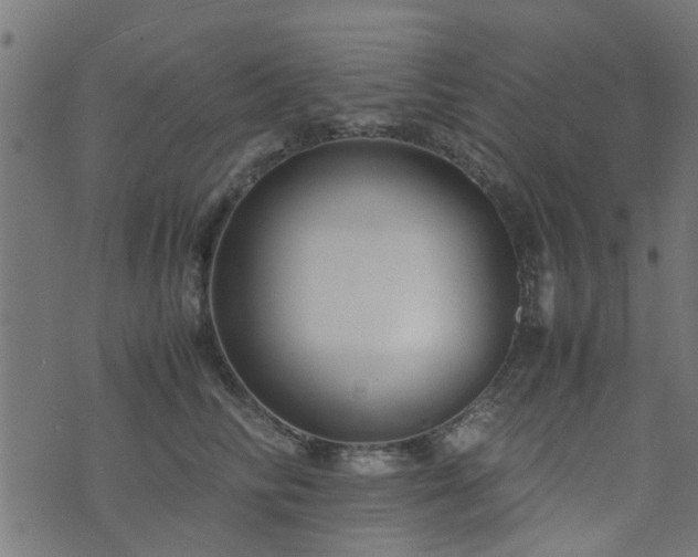 X0000071780710200606301220