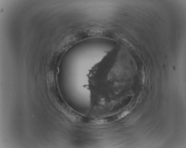 X0000071780711200606301220