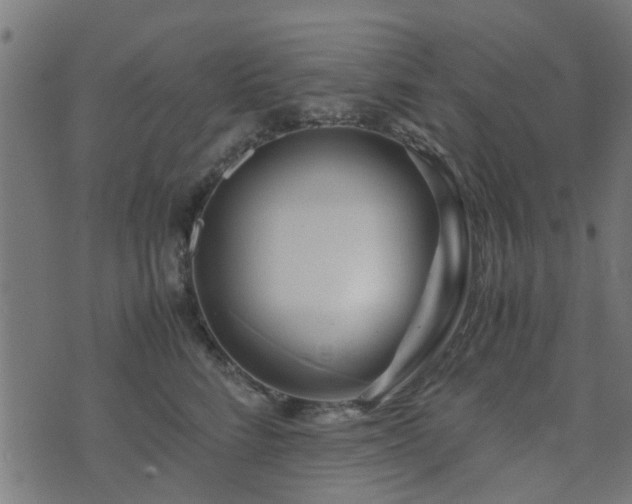 X0000071780712200606301220