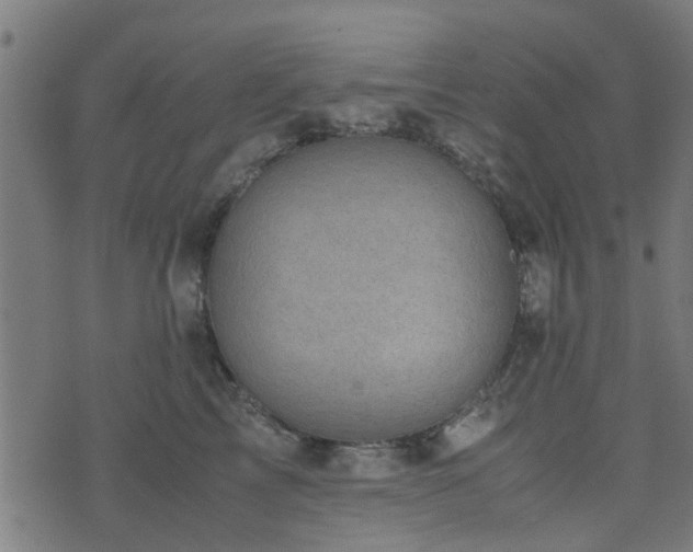 X0000071780713200606301220