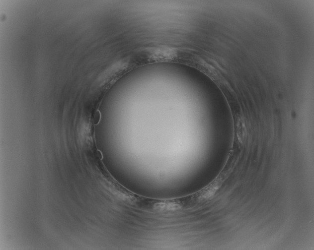 X0000071780714200606301220