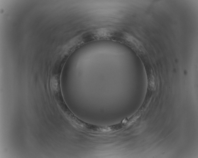 X0000071780715200606301220