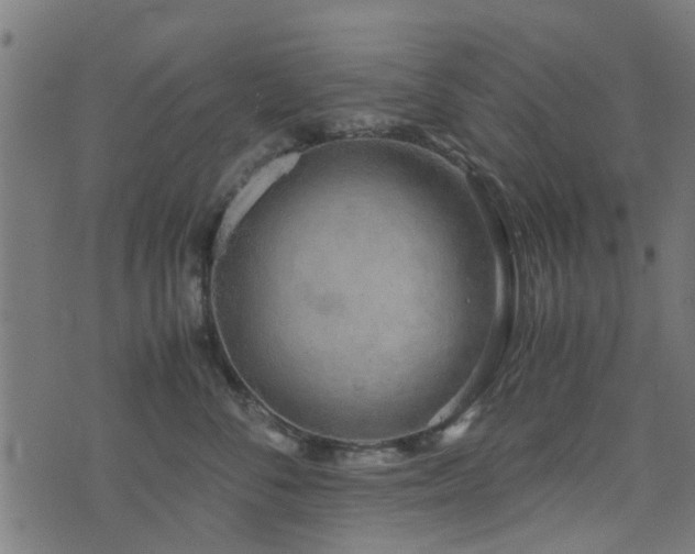 X0000071780716200606301220