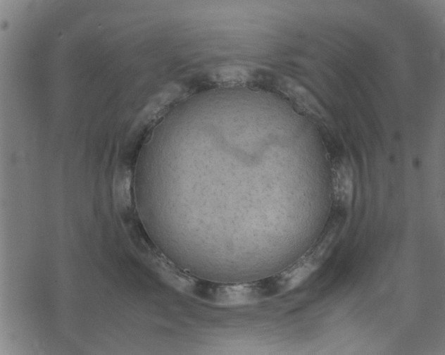 X0000071780717200606301220