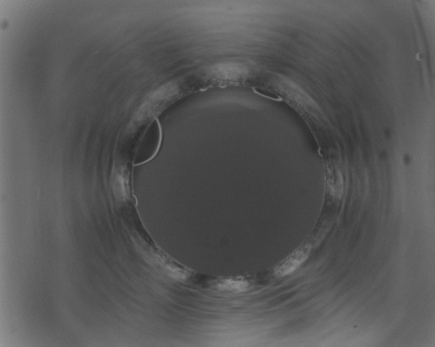 X0000071780718200606301220