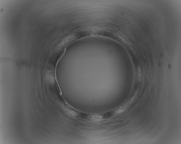 X0000071780719200606301220