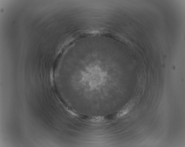 X0000071780720200606301220