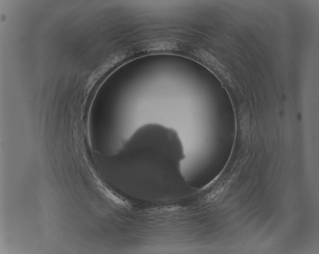 X0000071780721200606301219