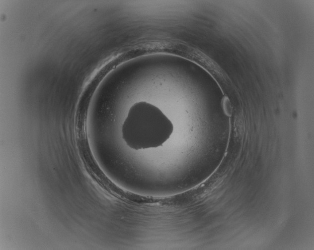 X0000071780722200606301219