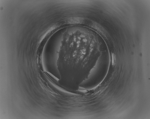 X0000071780723200606301219