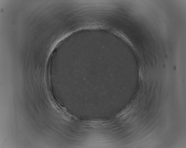 X0000071780724200606301219