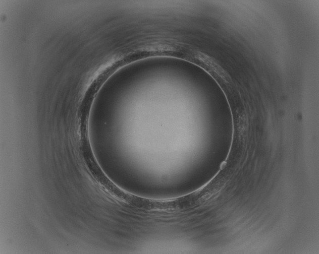 X0000071780727200606301219