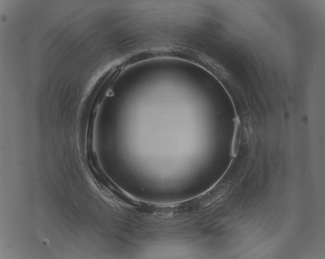 X0000071780728200606301219