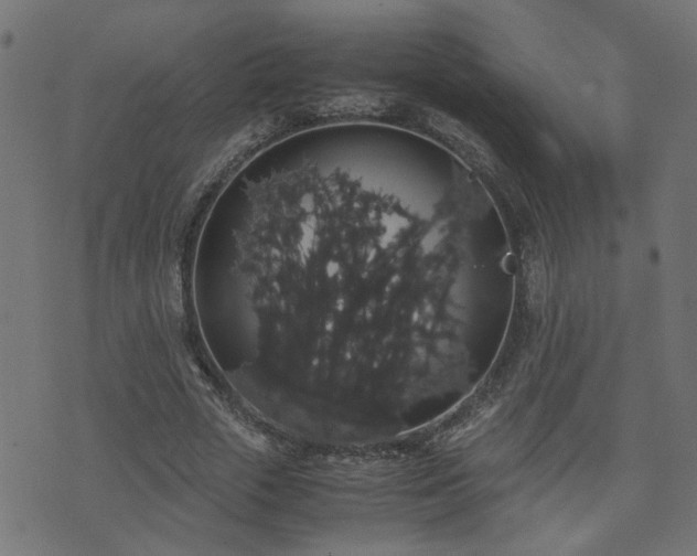 X0000071780729200606301219