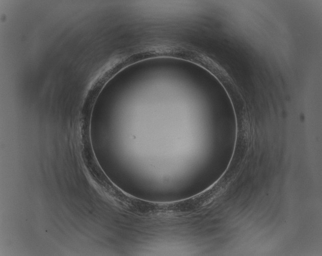 X0000071780730200606301219