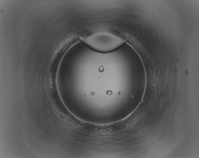 X0000071780731200606301219