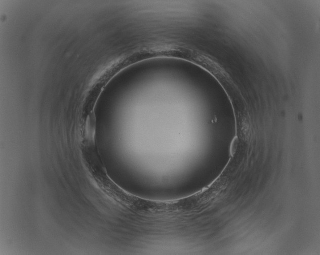 X0000071780732200606301219