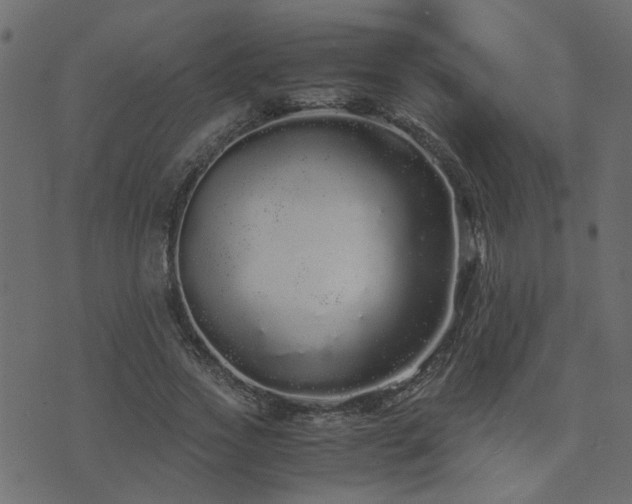 X0000071780733200606301219