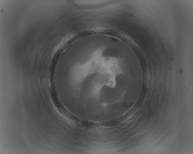 X0000071780734200606301219