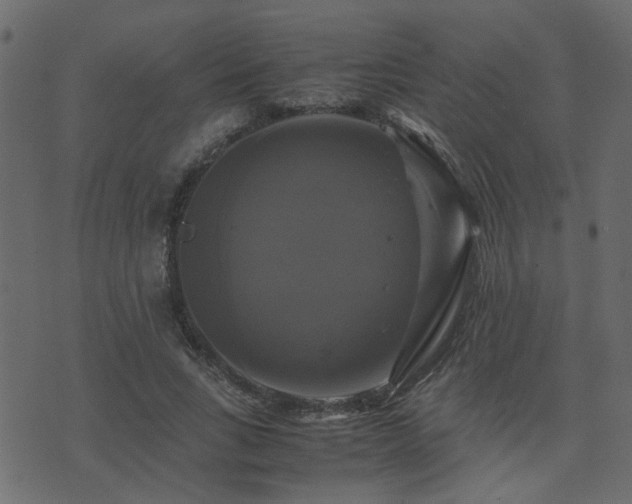 X0000071780735200606301219