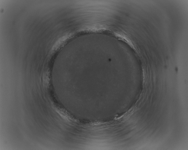 X0000071780736200606301219