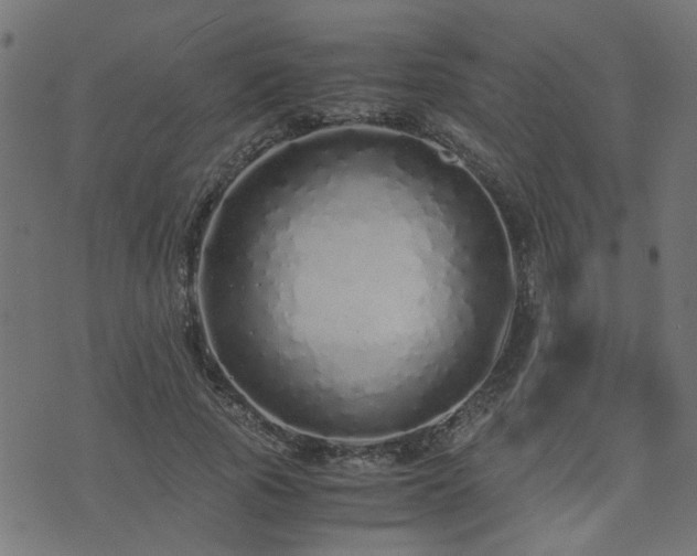 X0000071780737200606301219