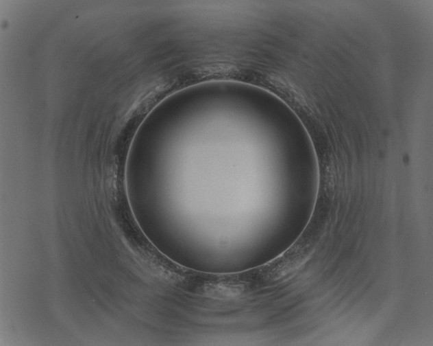 X0000071780739200606301219