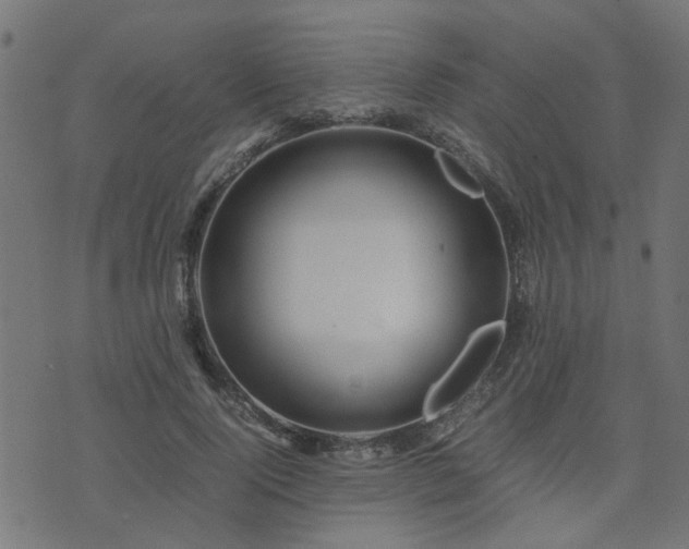 X0000071780740200606301219