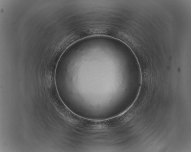 X0000071780741200606301220